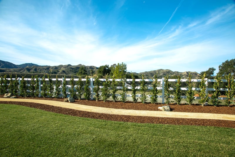 Landscape Edging: Santa Clarita Residence preview 17